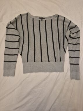 Express Light Gray and Black Striped Crewneck Sweater